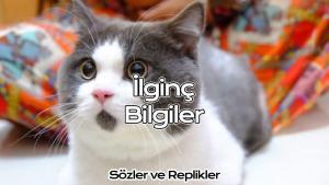 ilginç Bilgiler