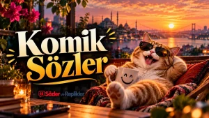 Komik Sözler başlıklı, İstanbul Boğazı'nda gün batımı manzarası eşliğinde güneş gözlüğü takmış, fincan tutan neşeli kedi görseli.