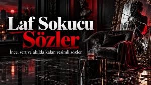 Laf Sokucu Sözler – İnce, sert ve akılda kalan resimli sözler başlıklı, kırık ayna ve kırmızı siyah dekorlu kapak görseli.